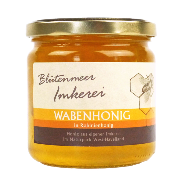 HONIGWABE IN ROBINIENHONIG 500g